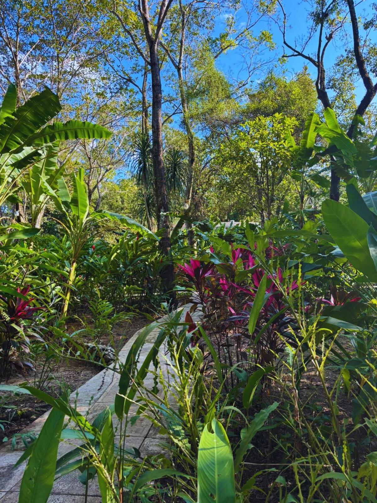 Hotel La Aldea Del Halach Huinic Palenque Exterior photo