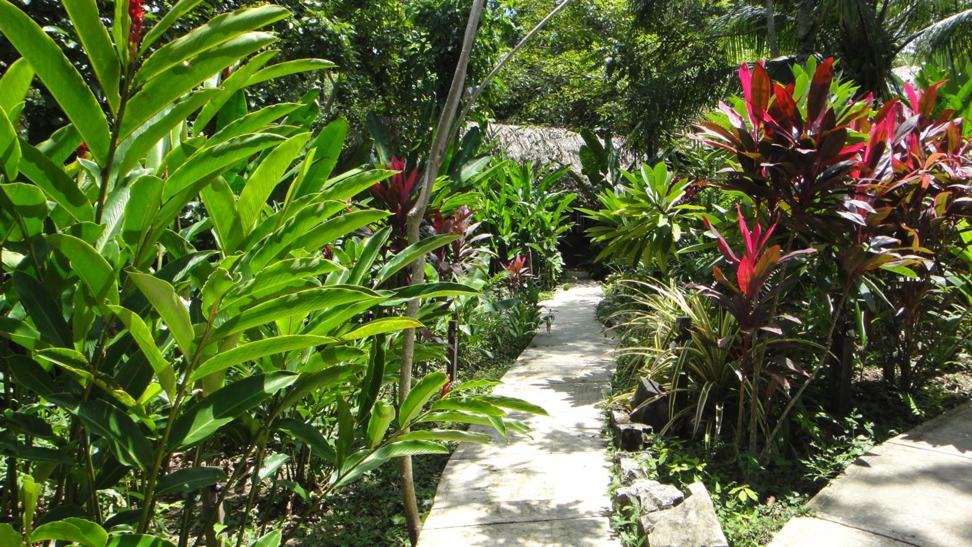 Hotel La Aldea Del Halach Huinic Palenque Exterior photo